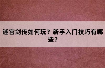 迷宫剑传如何玩？新手入门技巧有哪些？