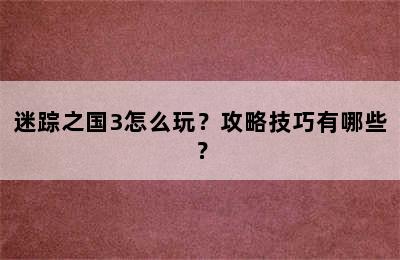 迷踪之国3怎么玩？攻略技巧有哪些？