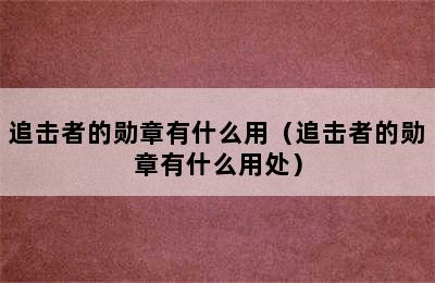 追击者的勋章有什么用（追击者的勋章有什么用处）