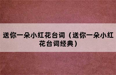 送你一朵小红花台词（送你一朵小红花台词经典）