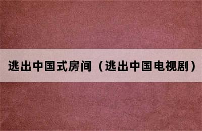 逃出中国式房间（逃出中国电视剧）