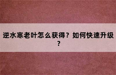 逆水寒老叶怎么获得？如何快速升级？