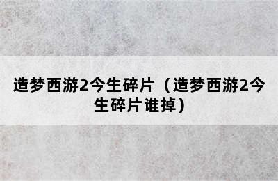 造梦西游2今生碎片（造梦西游2今生碎片谁掉）