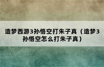 造梦西游3孙悟空打朱子真（造梦3孙悟空怎么打朱子真）