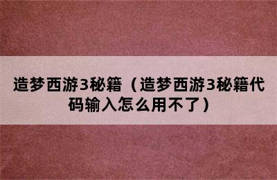 造梦西游3秘籍（造梦西游3秘籍代码输入怎么用不了）