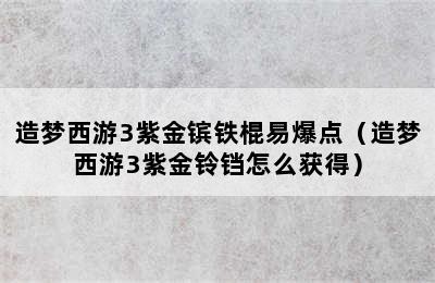 造梦西游3紫金镔铁棍易爆点（造梦西游3紫金铃铛怎么获得）