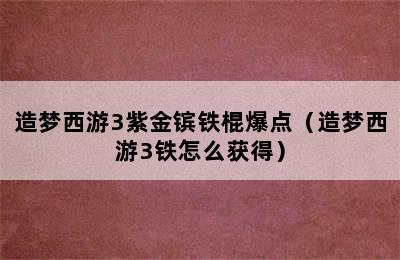 造梦西游3紫金镔铁棍爆点（造梦西游3铁怎么获得）