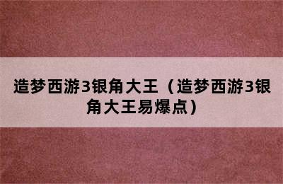 造梦西游3银角大王（造梦西游3银角大王易爆点）