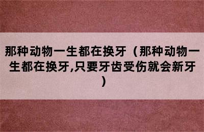 那种动物一生都在换牙（那种动物一生都在换牙,只要牙齿受伤就会新牙）