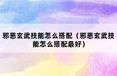 邪恶玄武技能怎么搭配（邪恶玄武技能怎么搭配最好）