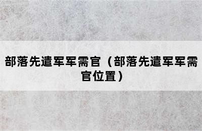 部落先遣军军需官（部落先遣军军需官位置）