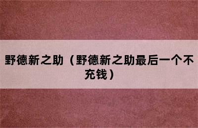 野德新之助（野德新之助最后一个不充钱）