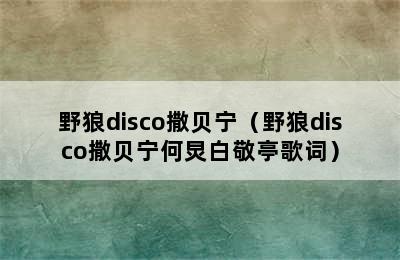 野狼disco撒贝宁（野狼disco撒贝宁何炅白敬亭歌词）