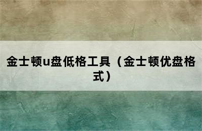 金士顿u盘低格工具（金士顿优盘格式）