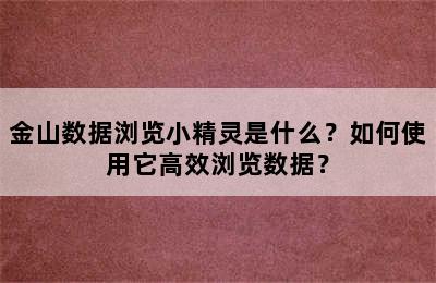 金山数据浏览小精灵是什么？如何使用它高效浏览数据？