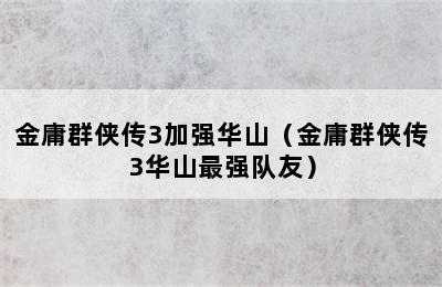 金庸群侠传3加强华山（金庸群侠传3华山最强队友）