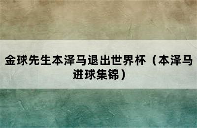 金球先生本泽马退出世界杯（本泽马进球集锦）