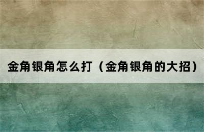 金角银角怎么打（金角银角的大招）