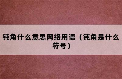 钝角什么意思网络用语（钝角是什么符号）