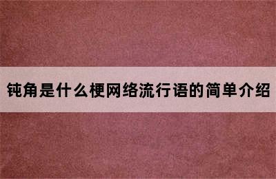 钝角是什么梗网络流行语的简单介绍