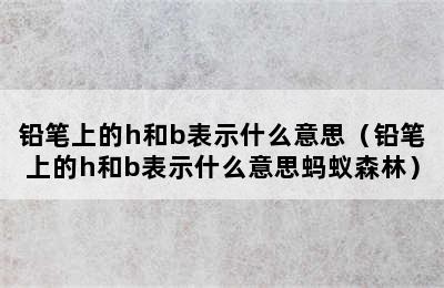 铅笔上的h和b表示什么意思（铅笔上的h和b表示什么意思蚂蚁森林）