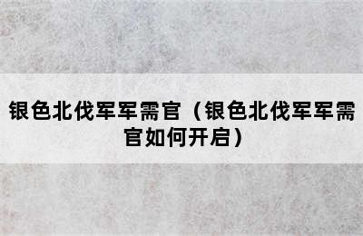 银色北伐军军需官（银色北伐军军需官如何开启）