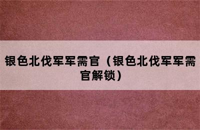 银色北伐军军需官（银色北伐军军需官解锁）