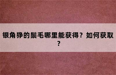 银角狰的鬃毛哪里能获得？如何获取？