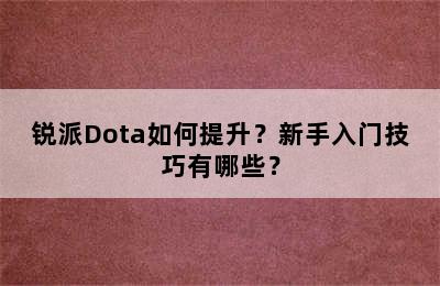 锐派Dota如何提升？新手入门技巧有哪些？