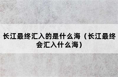 长江最终汇入的是什么海（长江最终会汇入什么海）