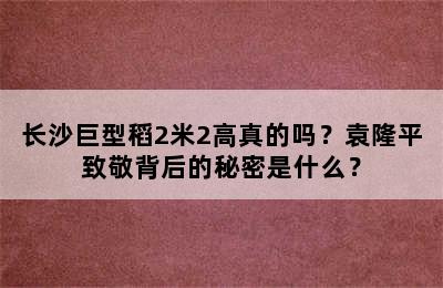长沙巨型稻2米2高真的吗？袁隆平致敬背后的秘密是什么？