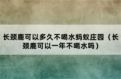 长颈鹿可以多久不喝水蚂蚁庄园（长颈鹿可以一年不喝水吗）