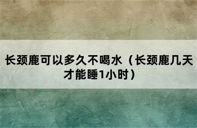 长颈鹿可以多久不喝水（长颈鹿几天才能睡1小时）