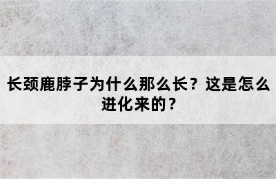 长颈鹿脖子为什么那么长？这是怎么进化来的？