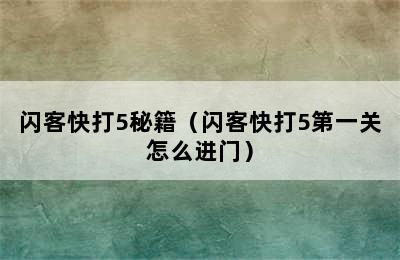 闪客快打5秘籍（闪客快打5第一关怎么进门）