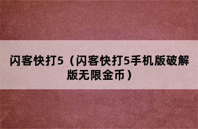 闪客快打5（闪客快打5手机版破解版无限金币）