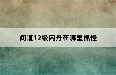 问道12级内丹在哪里抓怪