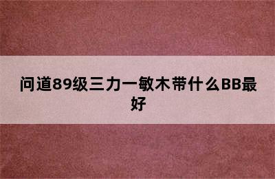 问道89级三力一敏木带什么BB最好