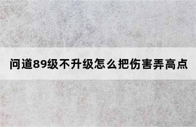 问道89级不升级怎么把伤害弄高点