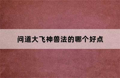 问道大飞神兽法的哪个好点