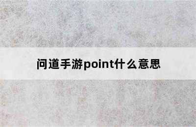 问道手游point什么意思