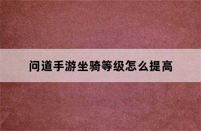 问道手游坐骑等级怎么提高