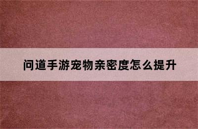 问道手游宠物亲密度怎么提升