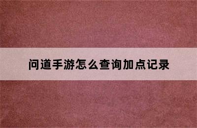 问道手游怎么查询加点记录