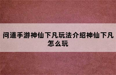 问道手游神仙下凡玩法介绍神仙下凡怎么玩