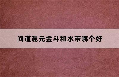 问道混元金斗和水带哪个好