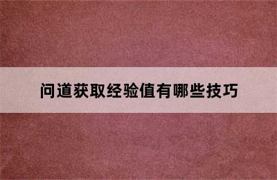 问道获取经验值有哪些技巧