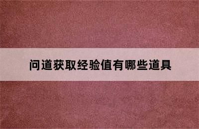 问道获取经验值有哪些道具