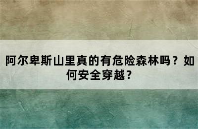 阿尔卑斯山里真的有危险森林吗？如何安全穿越？