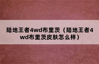 陆地王者4wd布里茨（陆地王者4wd布里茨皮肤怎么样）